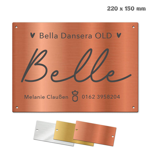 Tür- und Boxenschild "22x15" Metallic